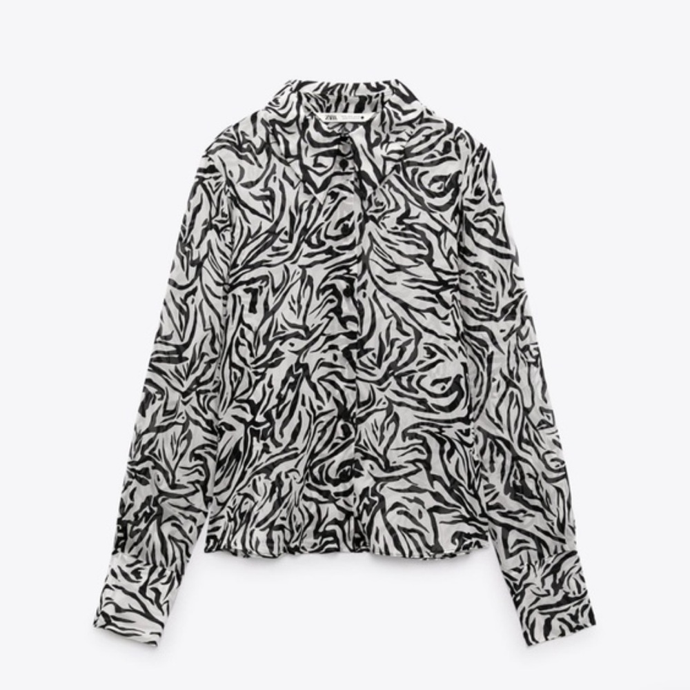 Zebra button up